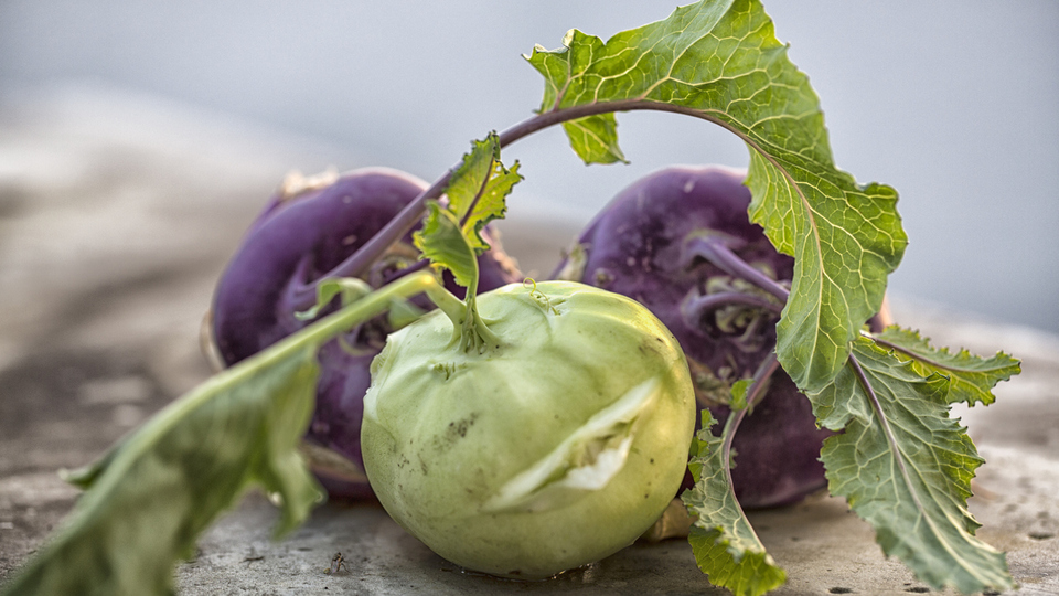 Alabaş bitkisinin faydaları neler ve ne işe yarar?