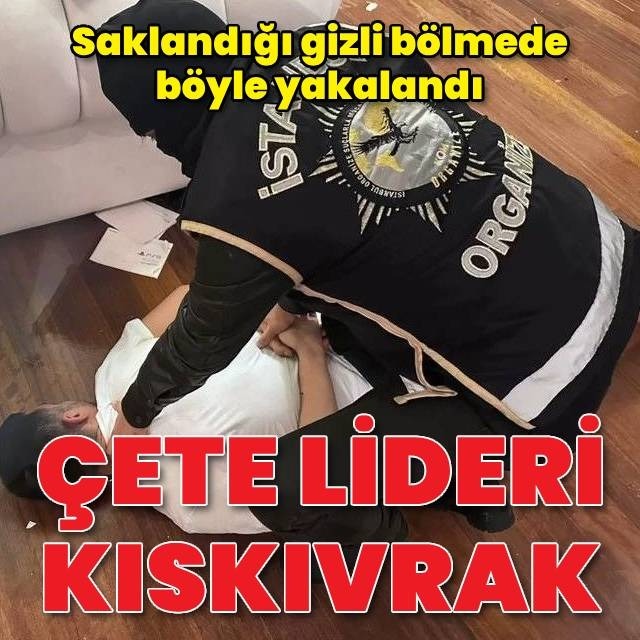 Suç örgütü kıskıvrak yakalandı