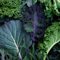 Kara lahananın faydaları neler ve ne işe yarar?