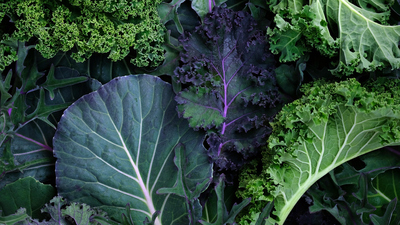 Kara lahananın faydaları neler ve ne işe yarar?