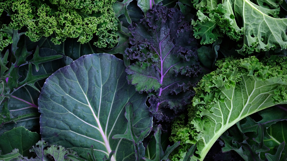 Kara lahananın faydaları neler ve ne işe yarar?