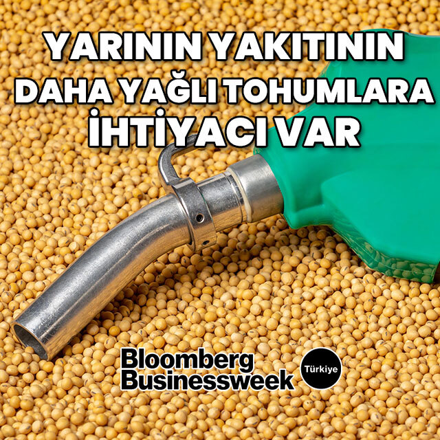Yarının yakıtının daha yağlı tohumlara ihtiyacı var