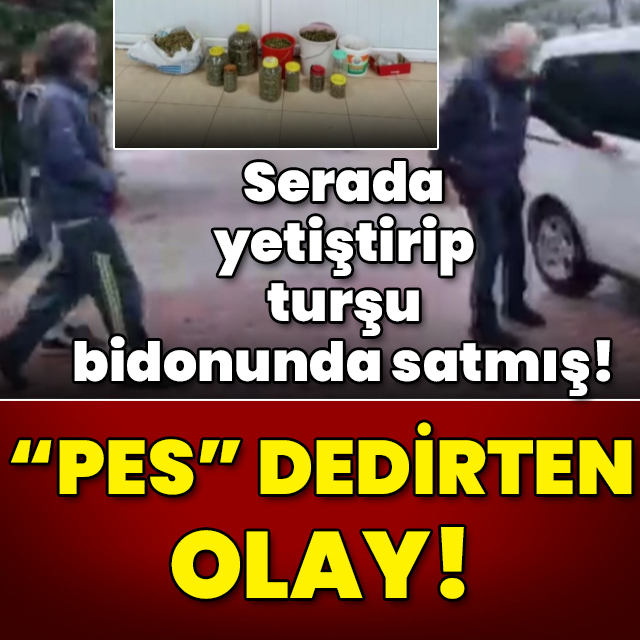 Serada yetiştirmiş! Turşu bidonunda satmış! "Pes" dedirten olay!
