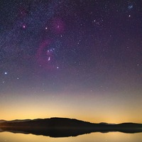 Rüyada Yeşil Ceviz Görmek