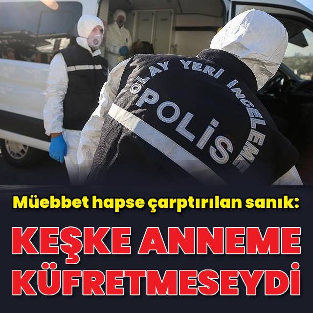 Cesedi parçalanmış halde bulunmuştu! Müebbet hapse çarptırıldı