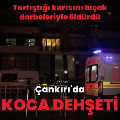 Tartıştığı karısını bıçaklayarak öldürdü
