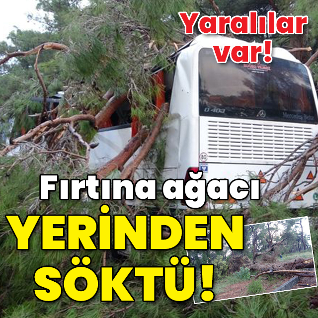 Yaralılar var! Fırtına ağacı yerinden söktü!