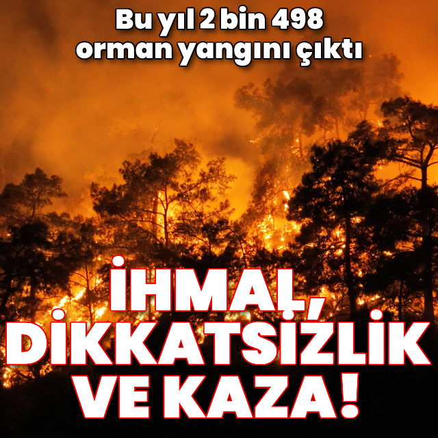 Yüzde 80'i ihmal, dikkatsizlik ve kaza!