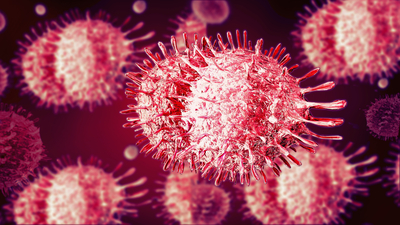 İstilacı türlerde 'hızlı yayılma' tehlikesi