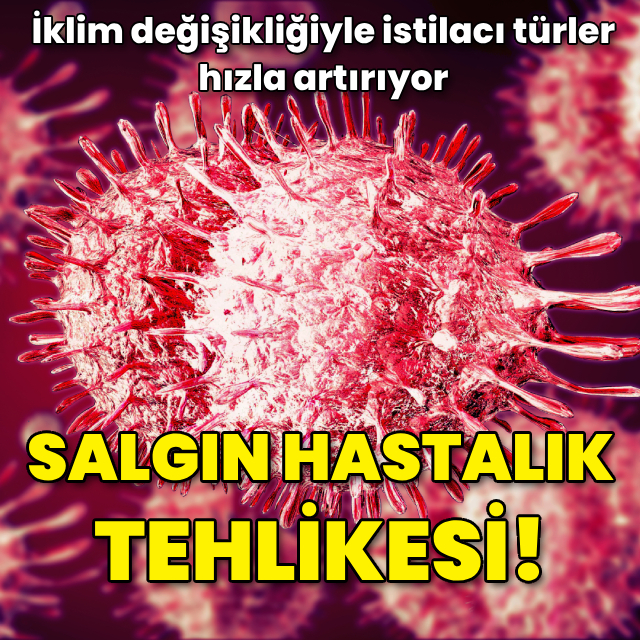 İstilacı türlerde 'hızlı yayılma' tehlikesi