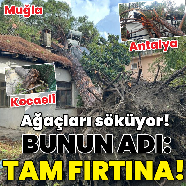 Kocaeli, Antalya, Muğla... Ağaçları kökünden söküyor! Bunun adı: Tam fırtına!