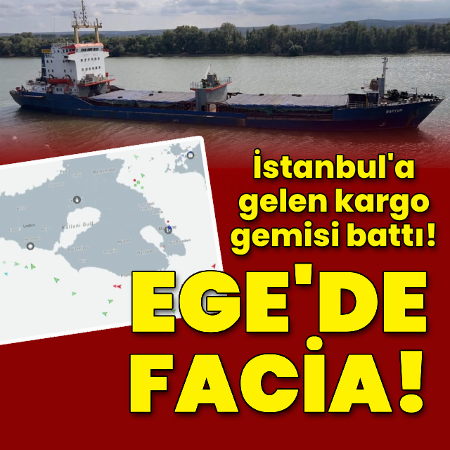 İstanbul'a gelen kargo gemisi battı!