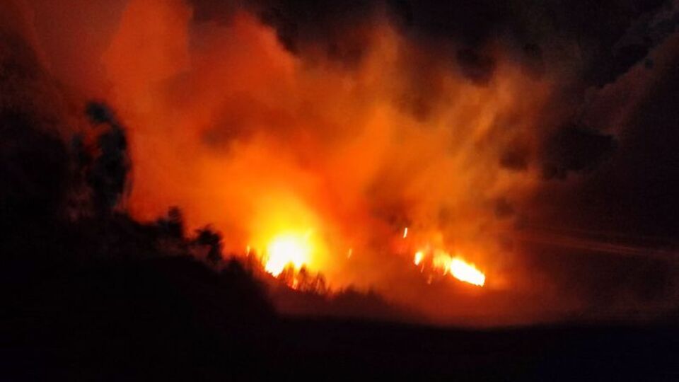 Trabzon'daki orman yangını kontrol altında