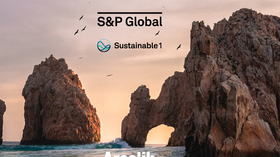 Sürdürülebilirlik Endeksi'nde 5. kez zirvede