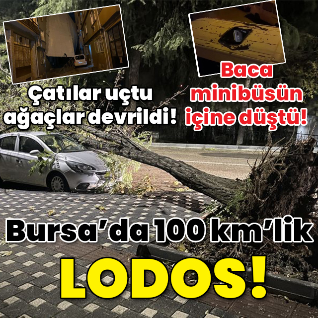 Köprü altında emeklemek zorunda kaldı!