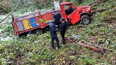 Kamyonet sürücüsü yaşamını yitirdi