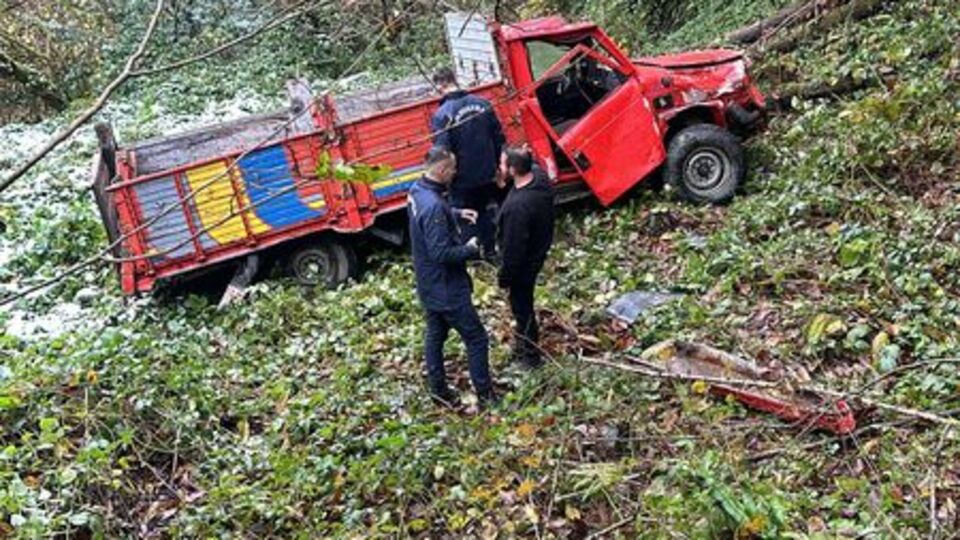 Kamyonet sürücüsü yaşamını yitirdi