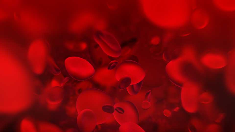 Pıhtıya bağlı hastalıklar ölüm sebeplerinde başı çekiyor