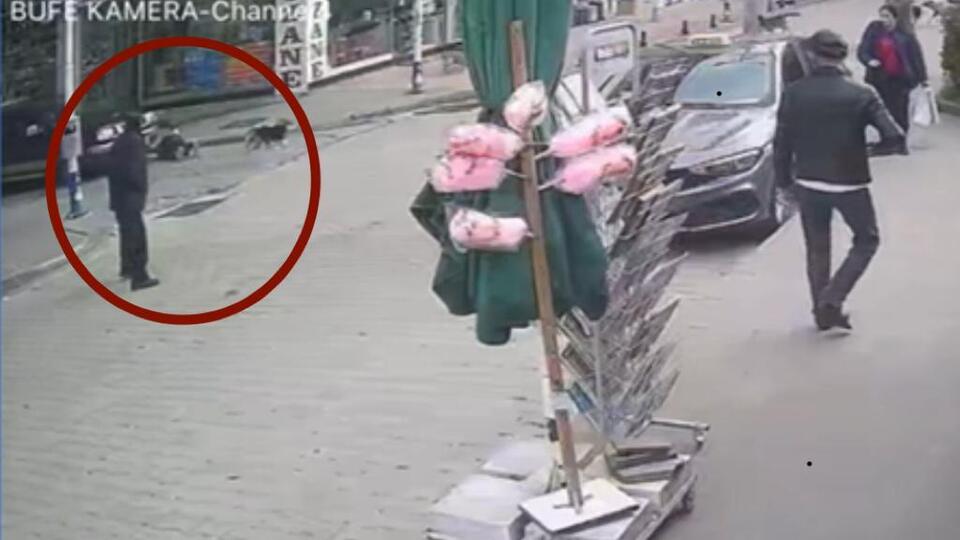 Köpekten kaçtı, kazadan son anda kurtuldu