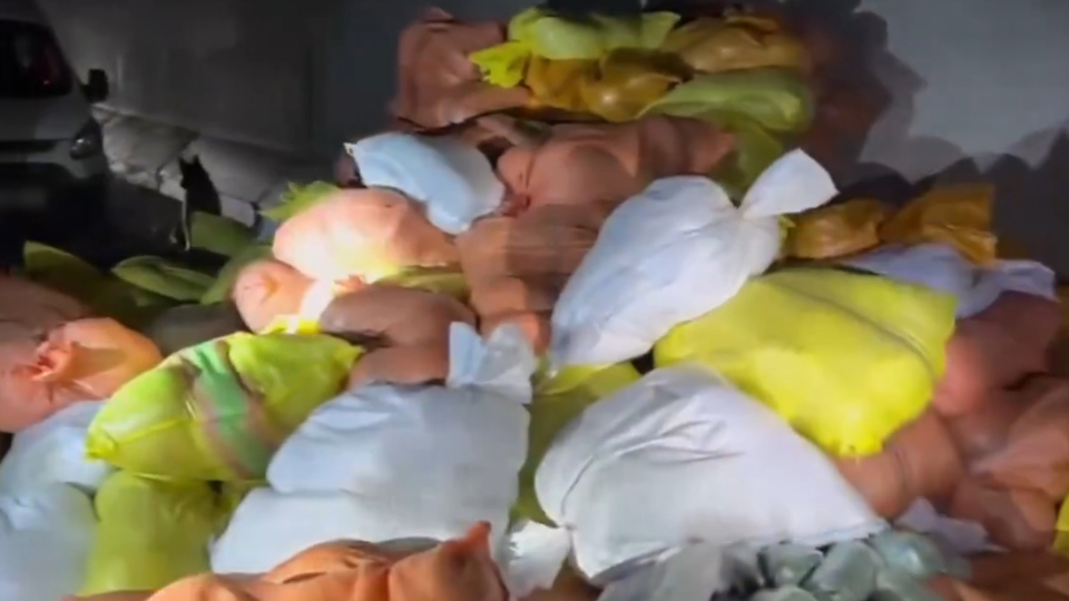 Van'da 4 ton 600 kilo esrar ele geçirildi!