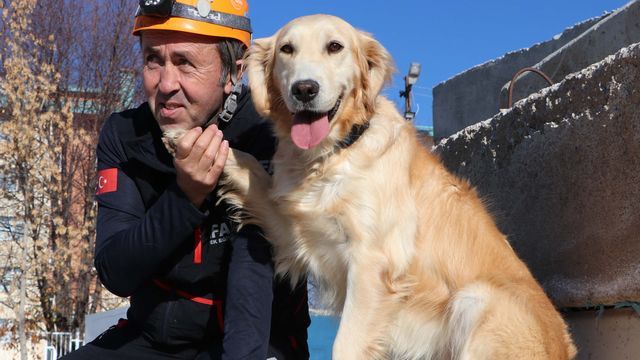 'Köpük' sınavda birinci oldu!