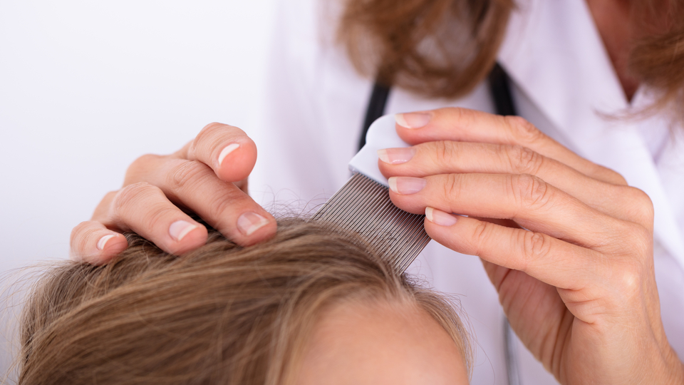 Okula gitmenin önündeki engel: Bitlenme