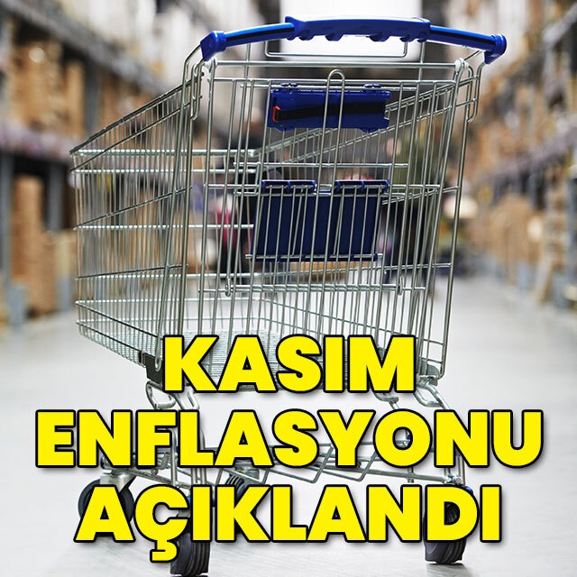 Kasım ayı enflasyonu açıklandı
