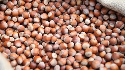 3 ayda 572 milyon dolarlık ihracat