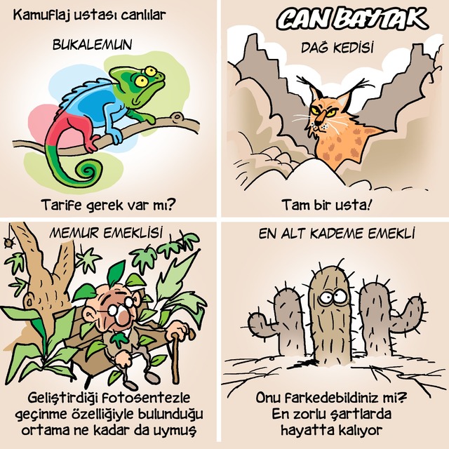 Can Baytak karikatürleri (Aralık 2023)