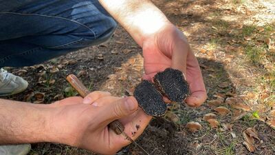 Isparta'da keşfedildi!