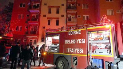 Edirne'deki yangın söndürüldü