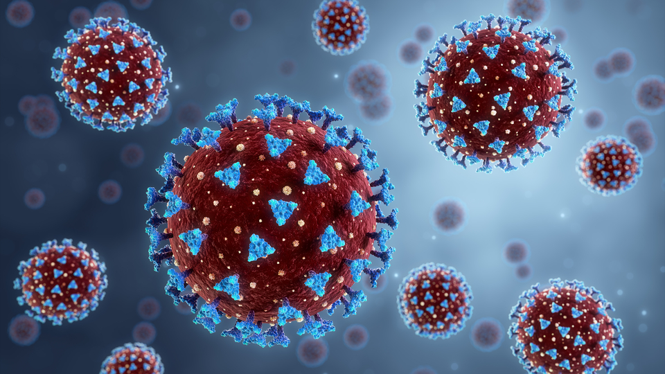 Çin ve Hindistan'ı etkileyen gizemli virüs açıklaması