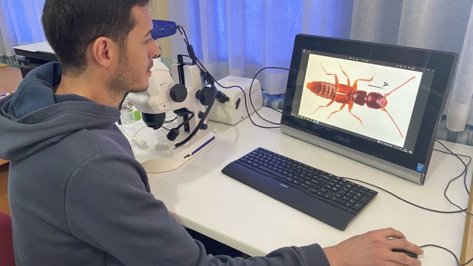 Sivas'taki Yıldız Dağları'nda keşfedildi