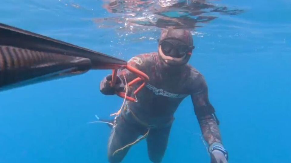 Denizin altında depremin uğultusu!