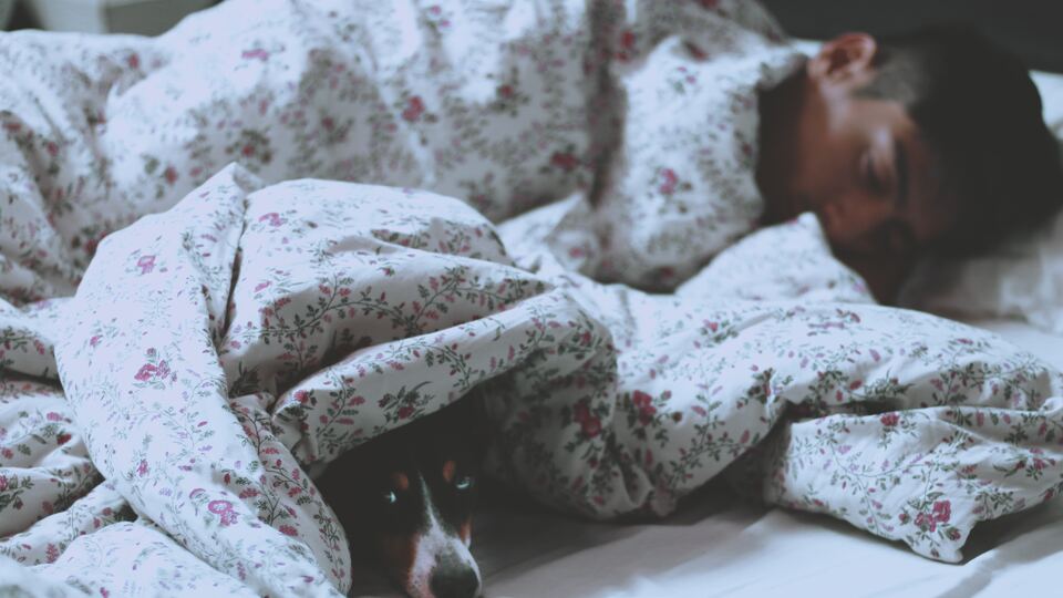 Rüyada Çizme Görmek