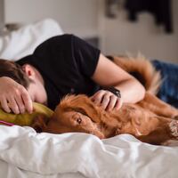 Rüyada Çiyan Görmek