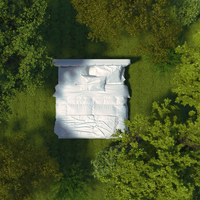 Rüyada Şınav Çekmek