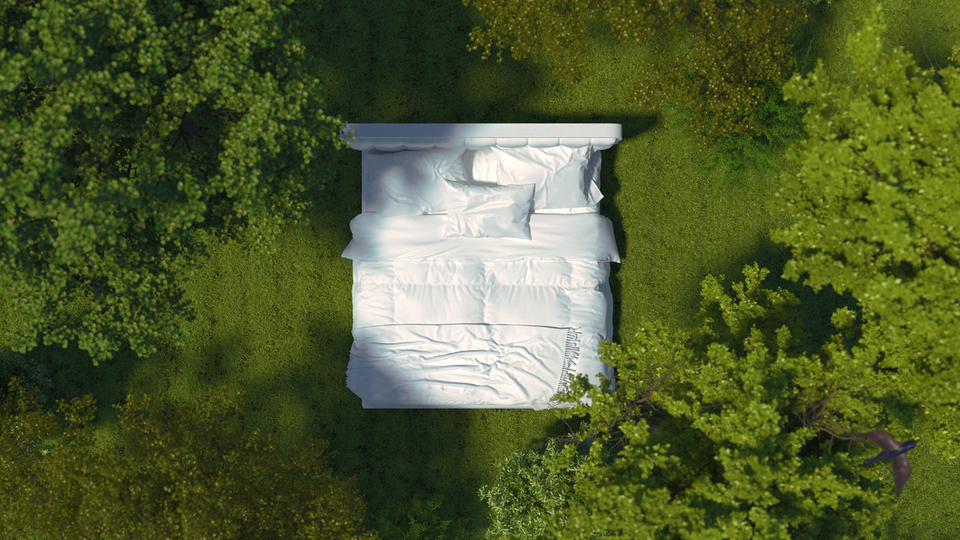 Rüyada Şınav Çekmek