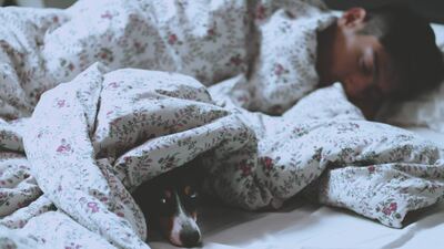 Rüyada Şekerlik Görmek