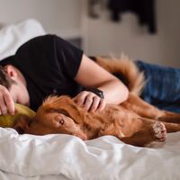 Rüyada Şehir Dışına Çıkmak