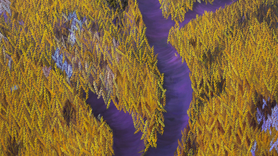 Ahmet Yeşil'den yeni sergi: 'İz/ler'