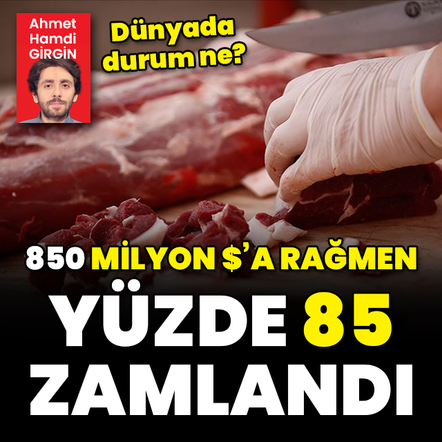 850 milyon dolarlık ithalata rağmen yüzde 85 artış