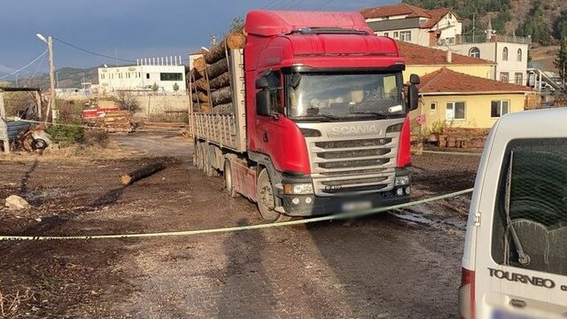 Üzerine tomruk devrildi, hayatını kaybetti