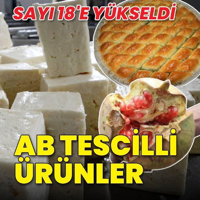 'Ezine peyniri'ne AB'den coğrafi işaret