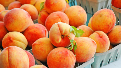 İşte 2024'ün rengi