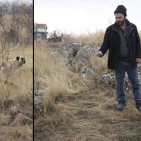 Başıboş köpeklerin saldırdığı çocuğun durumu ağır!