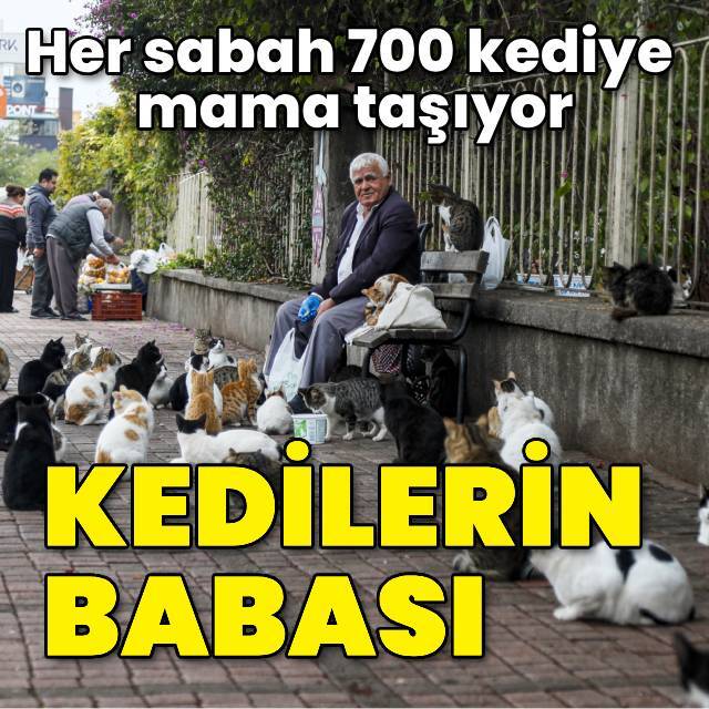 'Kedilerin babası' 700 kediye mama taşıyor