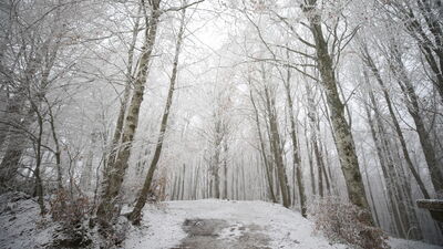 Trakya'nın yüksek kesimlerinde kar başladı
