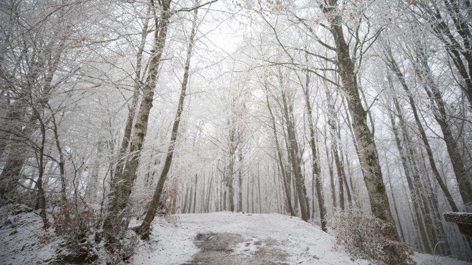 Trakya'nın yüksek kesimlerinde kar başladı
