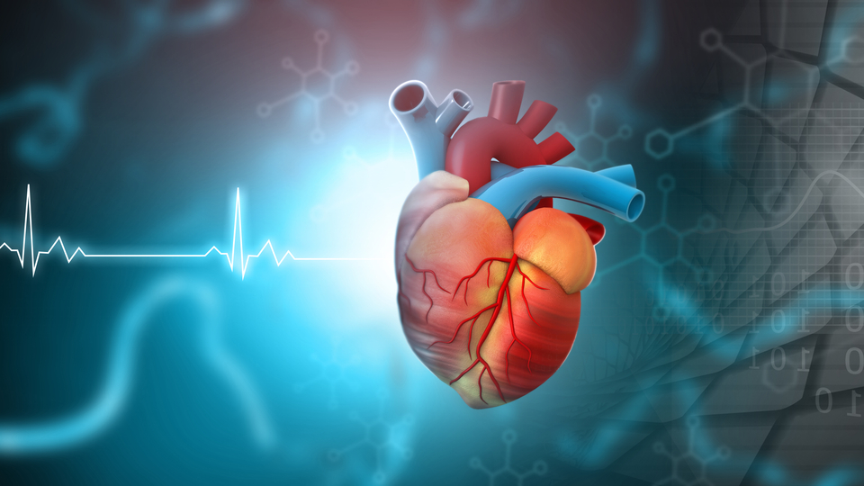 Tesadüfen öğrendi: Kalp kapakçıkları çürümüş